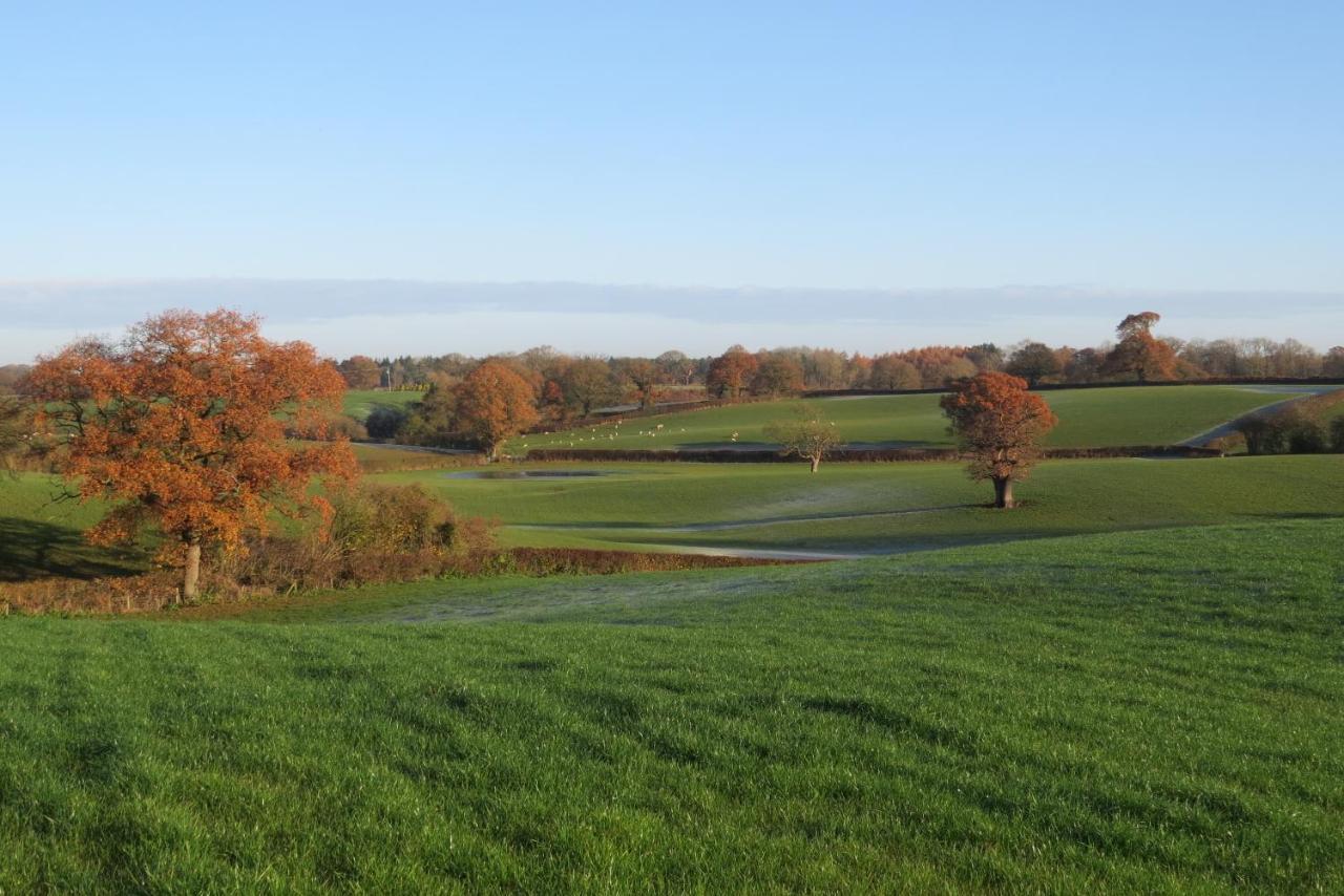 Archers Meadow Shropshire Ellesmere Luaran gambar